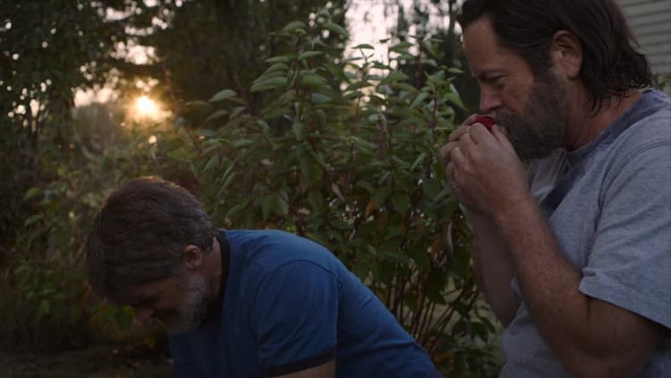 Frank and Bill pick strawberries