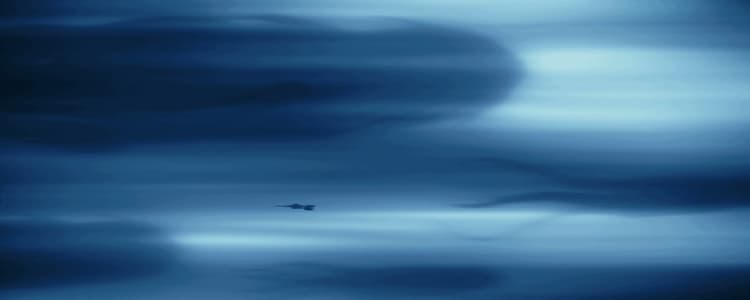 Din and Grogu are travelling through hyperspace with the shadows of the purrgil around them.