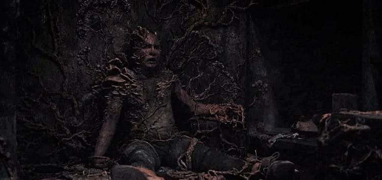 Infected sitting amongst dried fungus