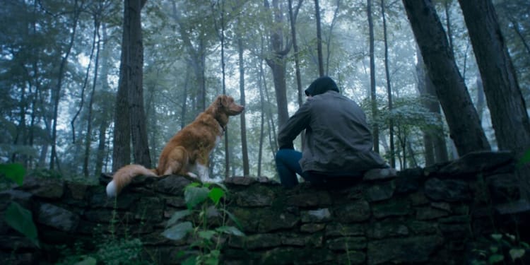 Indy is perched on a log, left. Todd is sat next to him on the right. He is sitting with his back to the camera. They are in the woods.