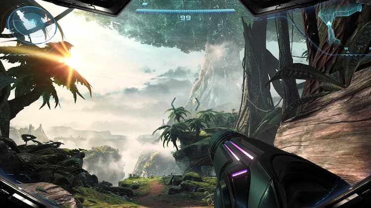 Screenshot of the first forest in Prime 4